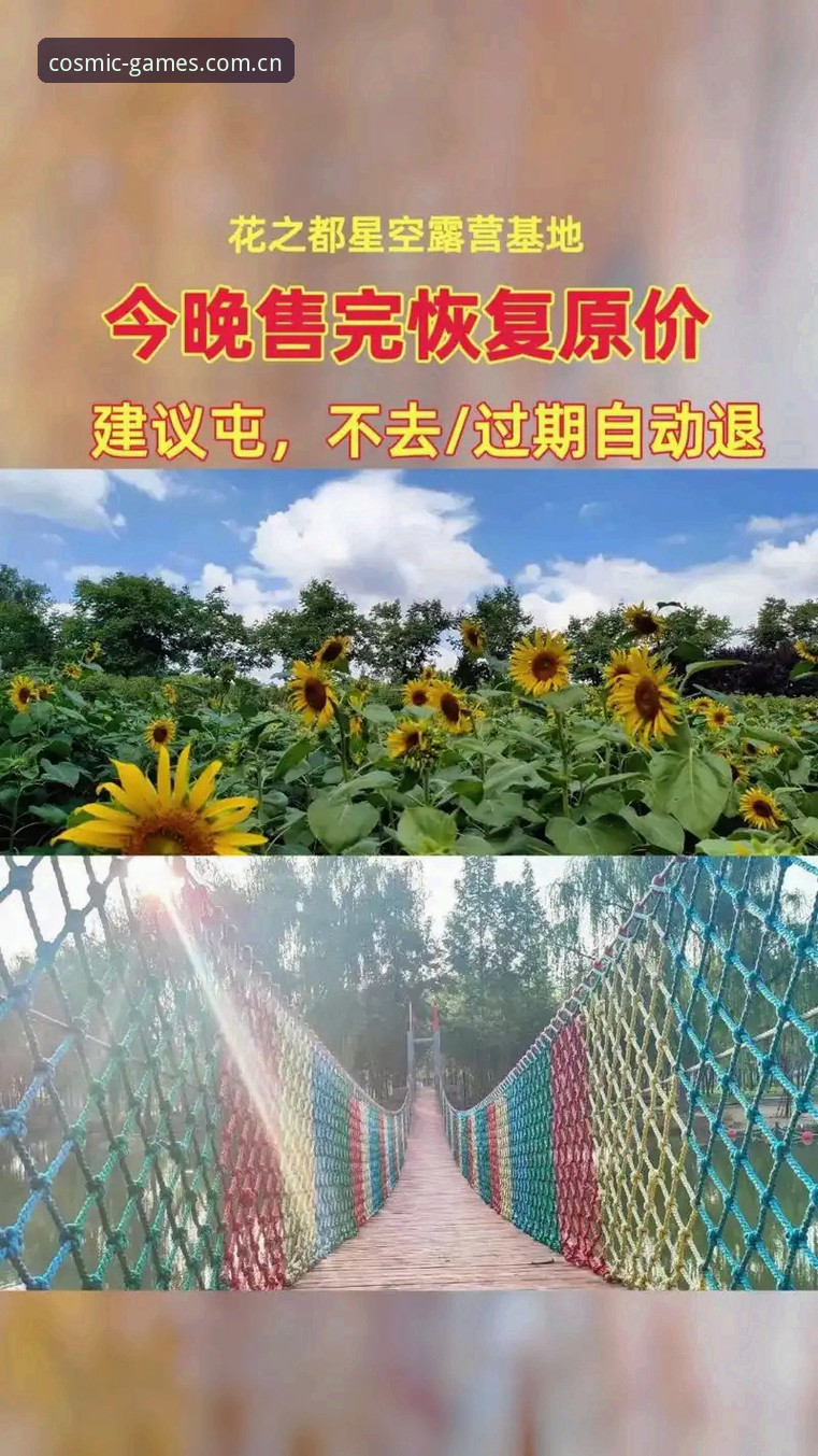 星空体育服务官网攻略 星空综合平台实用指南:掌握星空体育服务官网攻略的关键技巧